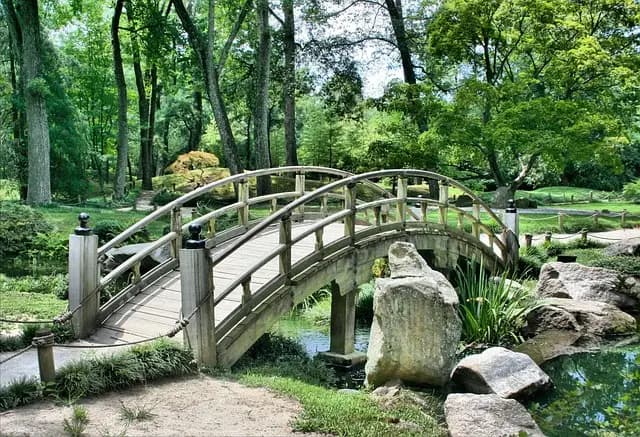 Guide d'Achat : Meilleures Bordures de Jardin